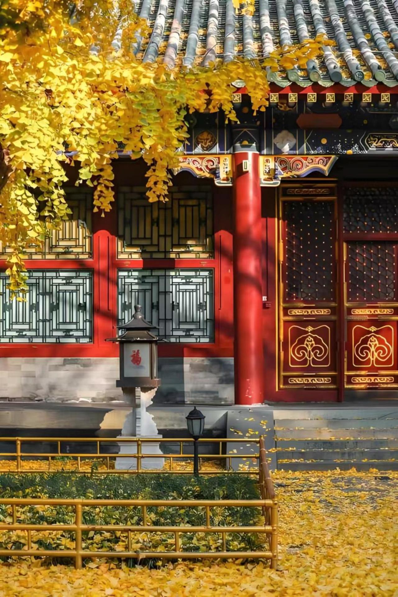 ไชนีส คัลเจอร์ ฮอลิเดย์ โฮเต็ล หนานลัวฉูเซียง Hotel ปักกิ่ง ภายนอก รูปภาพ